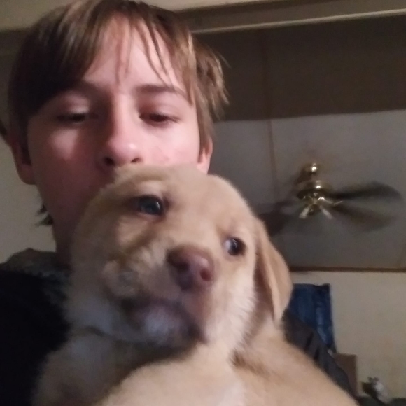 Meet your Posher, Andrew - Picture 1 of 1